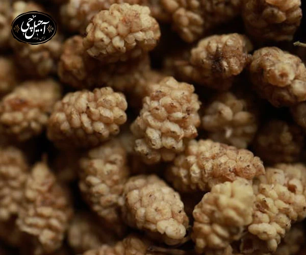 تضمین کیفیت توت خشک در آجیل چی