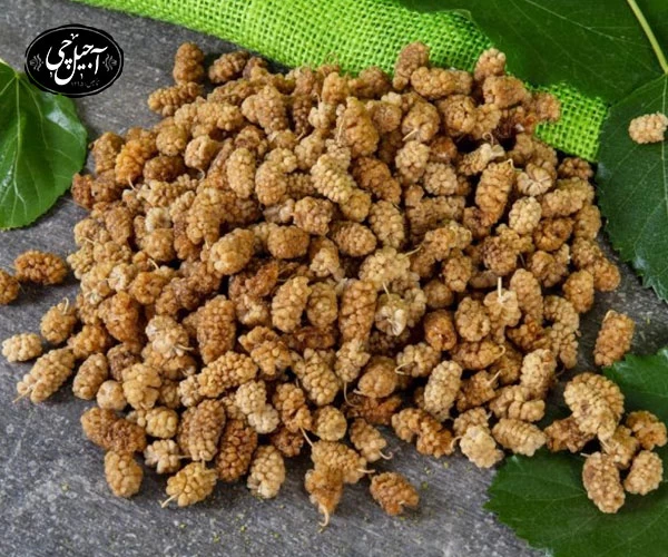 قیمت توت خشک ارگانیک