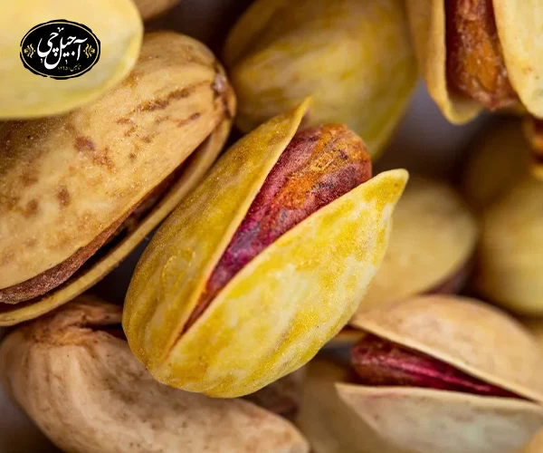 خرید پسته کله قوچی شور