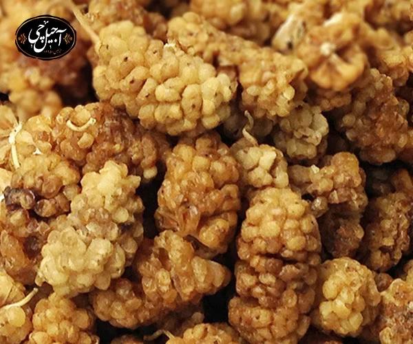 معرفی فروشگاه آجیل و خشکبار آجیل چی اصل مشهد