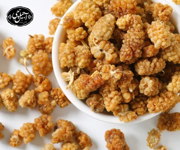 خرید توت خشک بیدانه