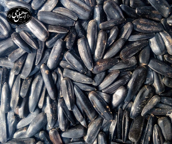 خرید اینترنتی تخمه افتابگردان شمشیری از فروشگاه آجیل چی