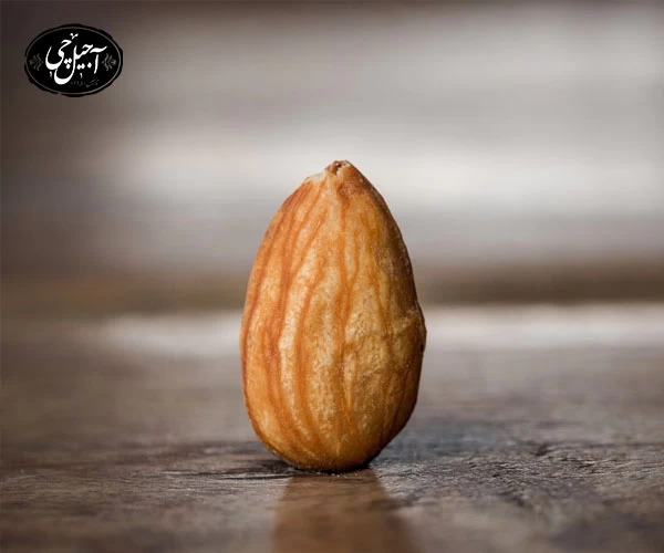 بادام ایرانی چه ویژگی هایی دارد ؟