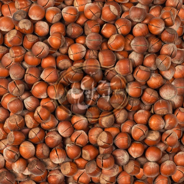 فندق خام درجه یک