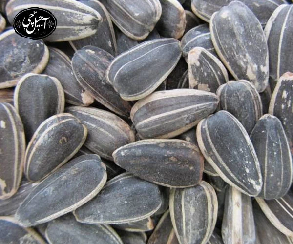 خرید تخمه آفتابگردان دور سفید با کیفیت تضمینی از فروشگاه آجیل چی مشهد