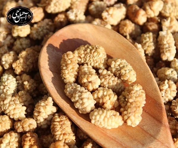 خرید انواع توت خشک