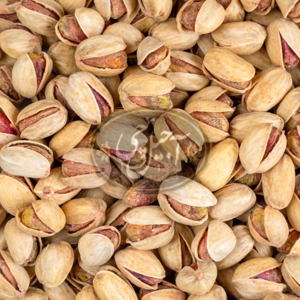 پسته کله قوچی نمکی دستچین