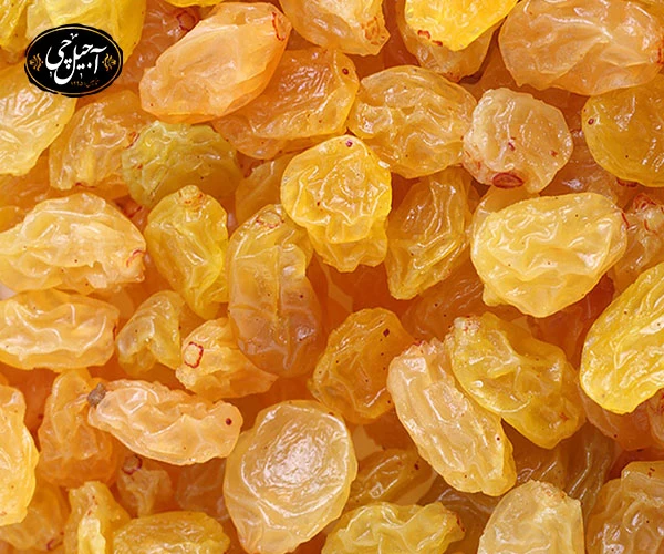 خرید کشمش پلویی طلایی از آجیل چی