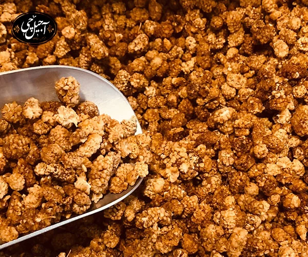 فواید توت خشک برای سلامتی