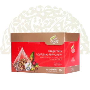 دمنوش هرمی زنجبیل (انرژی) 14عددی مهرگیاه