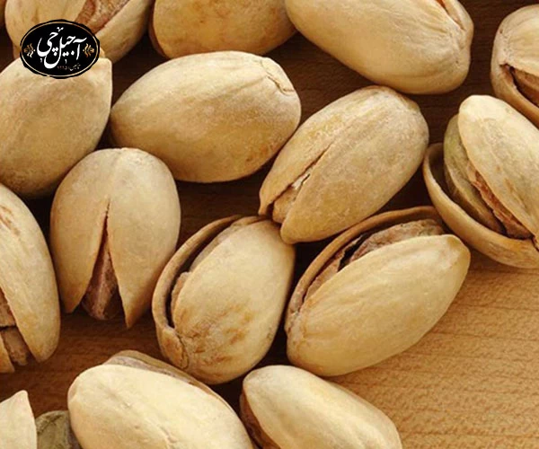 معرفی پسته فندقی