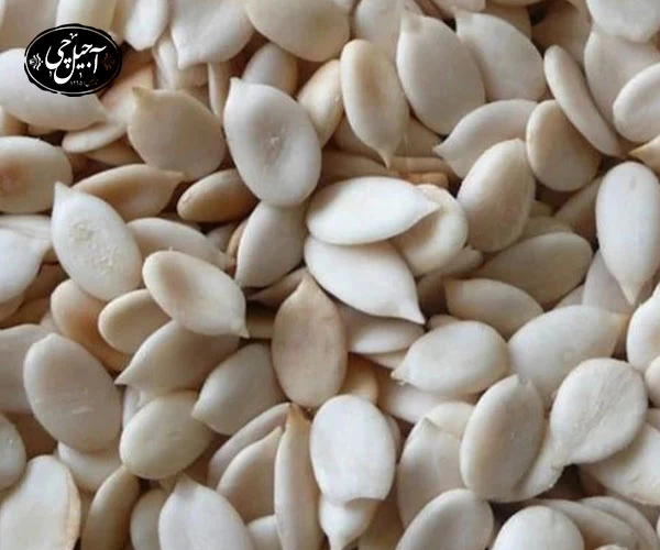 خرید تخمه کلاله هندوانه نمکی از فروشگاه آجیل چی