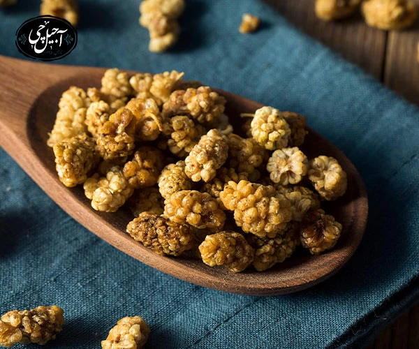 خرید توت خشک از فروشگاه اینترنتی آجیل چی اصل