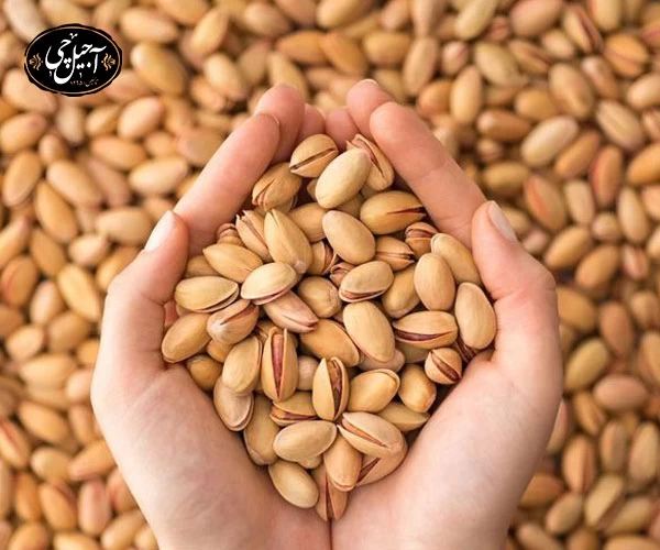 خرید و قیمت پسته اکبری دستچین