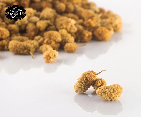 روش های پرداخت قیمت توت خشک از فروشگاه آجیل خشکبار آجیل چی