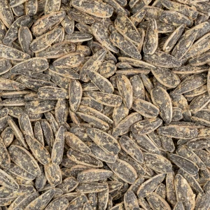 تخمه آفتابگردان دور سفید گلپر درجه یک