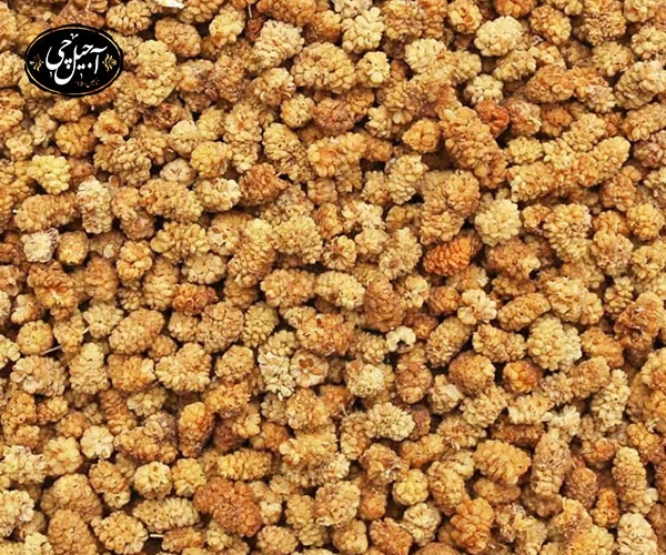 خرید توت خشک یزدی