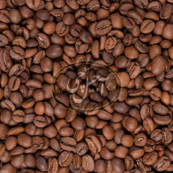 قهوه فرزا 30×70روبوستا باتسام