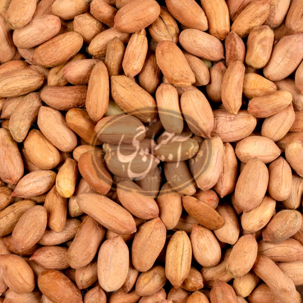 مغز بادام زمینی خام آستانه  درجه یک