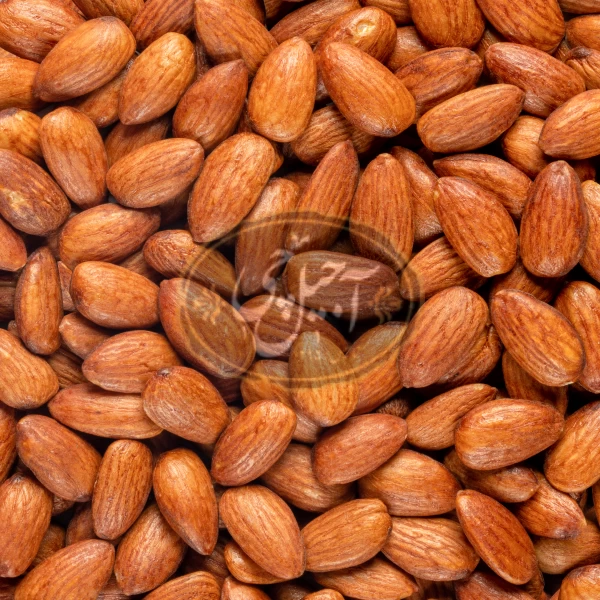 مغز بادام نمکی زرین درجه یک