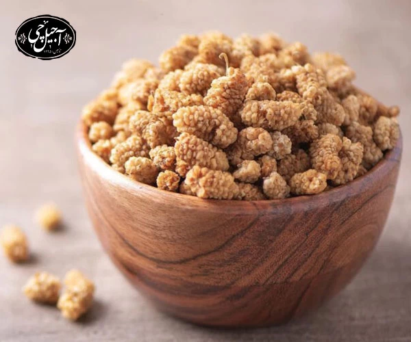 معرفی شعبه های فیزیکی فروشگاه آجیل چی اصل در مشهد