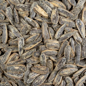 تخمه آفتابگردان دور سفید نمکی درجه یک