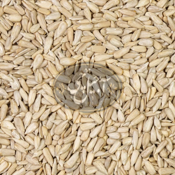 مغز تخمه آفتابگردان خام درجه یک