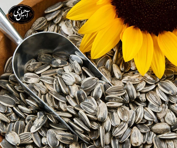 سفارش تخمه آفتابگردان دور سفید از سایت آجیل چی