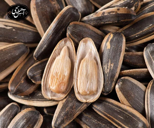 خرید تخمه آفتابگردان دور سفید گلپر