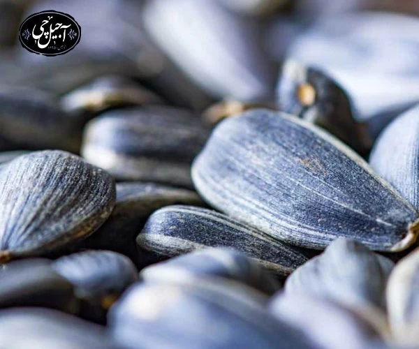 خرید اینترنتی تخمه آفتابگردان از آجیل چی