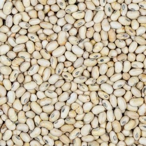 سویا آجیلی درجه یک