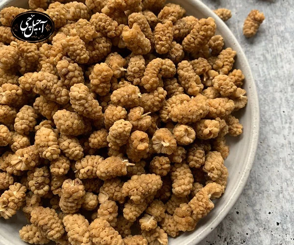 بستهبندی کادویی توت خشک درآجیل فروشی آجیل چی مشهد