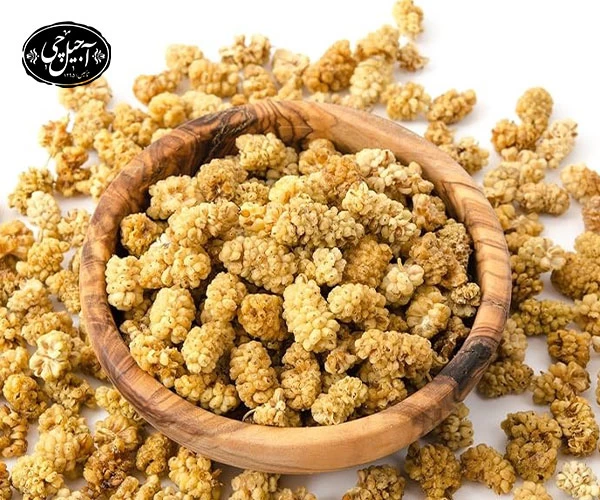 خرید توت خشک شاهانی