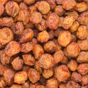 آلو آفتابی شمس ممتاز