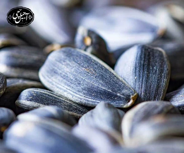 نحوه بسته بندی تخمه آفتابگردان دور سفید برای ارسال به شهرستان توسط آجیل چی