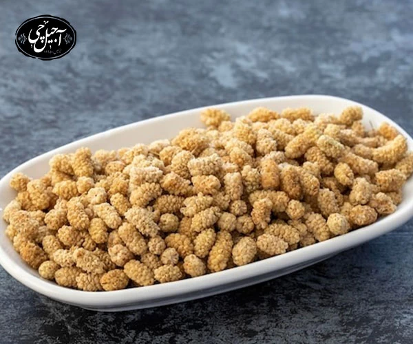 خرید توت خشک نقلی