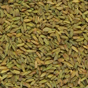 کشمش سبز ممتاز