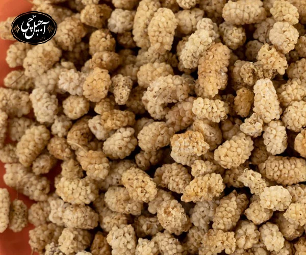 قیمت و خرید توت خشک سبز توت