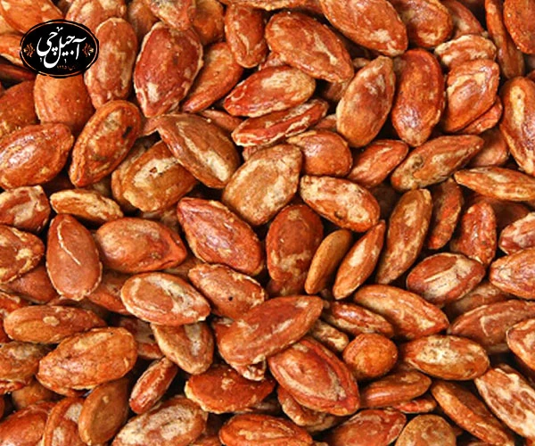 سفارش انواع تخمه جابانی از فروشگاه آجیل چی