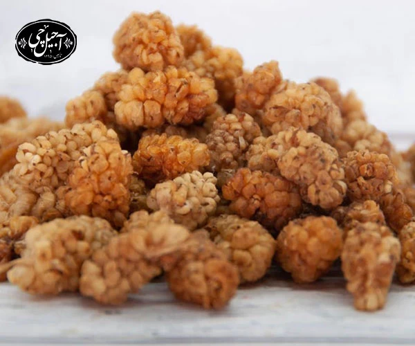 خواص توت خشک برای دستگاه گوارش