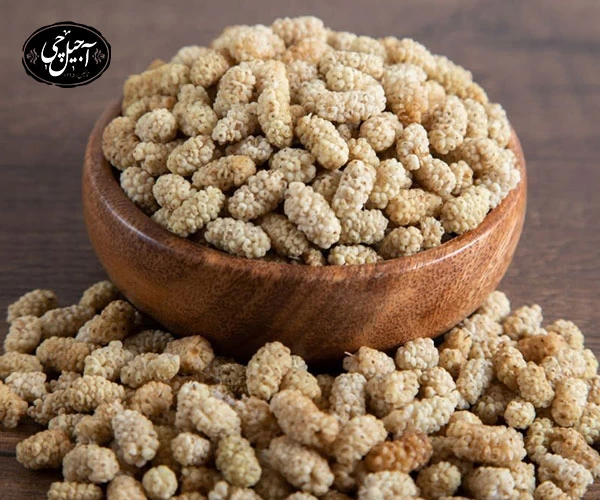 بسته بندی توت خشک توسط فروشگاه اینترنتی آجیل چی