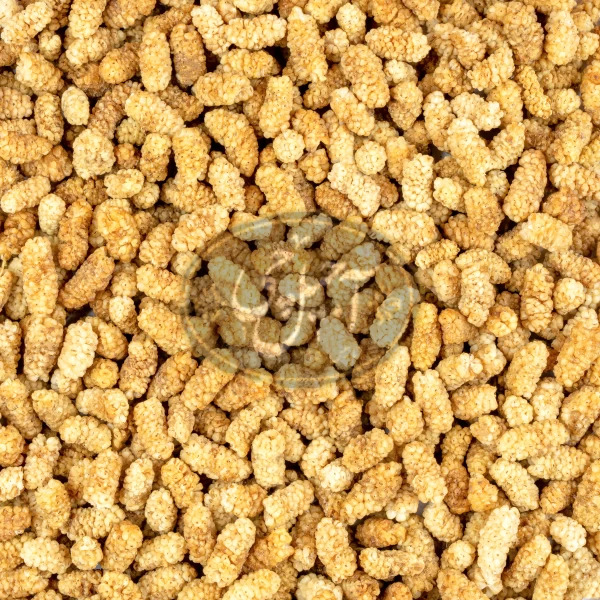 توت خشک مشهدی لوکس