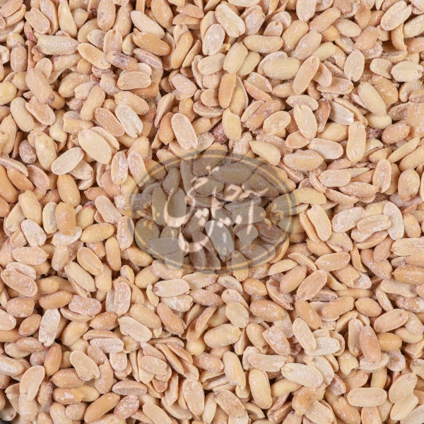 مغز بادام زمینی سفید نمکی درجه یک