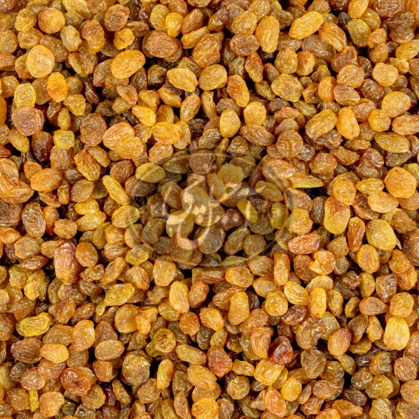 کشمش پلویی طلایی درجه یک