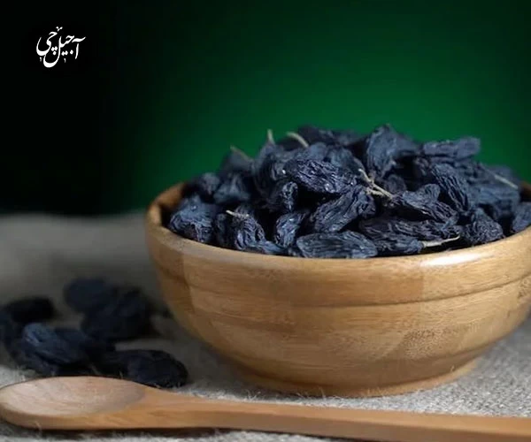 ارسال مویز در کمترین زمان