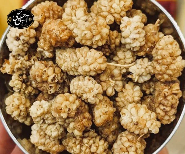 خواص توت خشک برای جلوگیری از پوکی استخوان