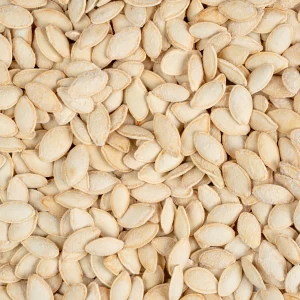 تخمه کدو گوشتی نمکی درجه یک