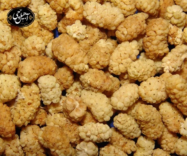 کد تخفیف خرید توت خشک از فروشگاه آجیل چی