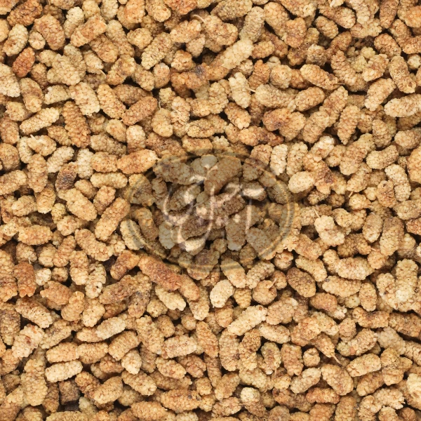 توت خشک مشهدی درجه یک